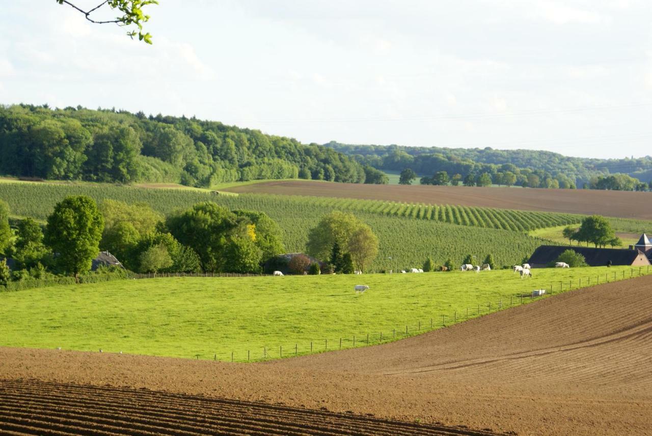 Domein Hellebeuk Met Uitzicht! Valkenburg/Klimmen Zewnętrze zdjęcie